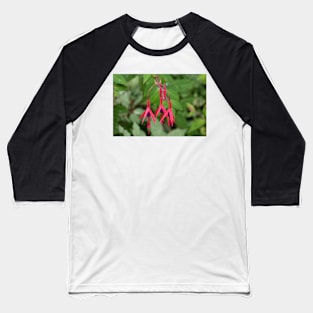 Red fuchsia flowers with leaves in the background Baseball T-Shirt